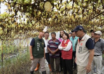 應對極端氣候挑戰     建構更具防災韌性的農業生產環境