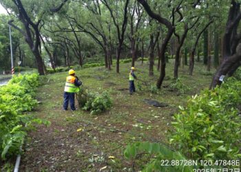 丹娜絲颱風過後…高雄增6例類鼻疽本土病例 2人併發重症亡