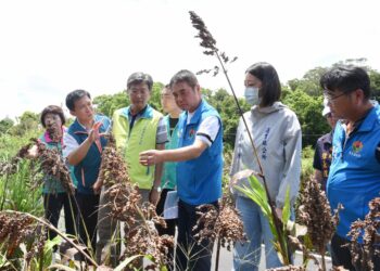 苗栗農改場新舊場長交接 施佳宏接任場長肩負農業新願景
