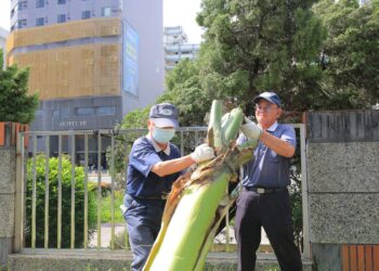 丹娜絲風災重創嘉義校園  彰化慈濟志工跨區清掃協助災後復原