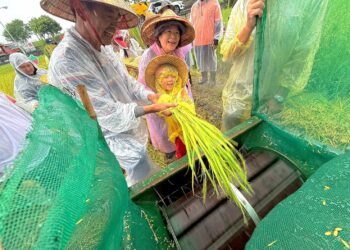 羅東鎮立幼兒園食農教育    親師生攜手割稻慶豐收