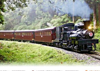 影音/受豪大雨影響 阿里山林鐵7/28日全線預警性停駛