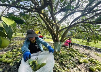 風災後你們不孤單    屏縣暖心馳援台南、嘉義救災