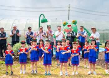 桃園蓮花季開跑!蘇俊賓邀親子賞蓮     生態藝術裝置結合食農教育寓教於樂