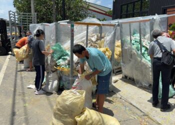 瓜瓜園協助麻豆文旦落果清運 即時捐助6萬個採收袋助果農渡難關