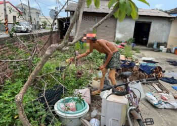 市府參事深入後壁 關懷丹娜絲風災後獨居長者