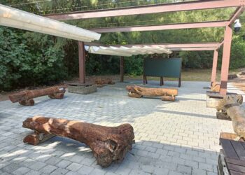 向海致敬     桃園導入科技清理海岸     沙灘清潔車助攻遊憩安全