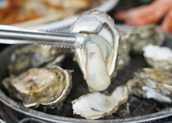 嘉義縣「生態探險觀察家」二日行程　推薦親子暑假自駕遊