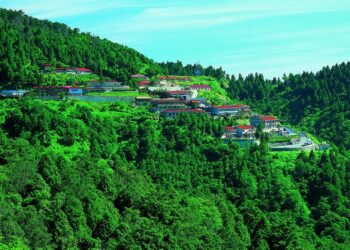 丹娜絲走了 太平山遊樂區7/8恢復開園