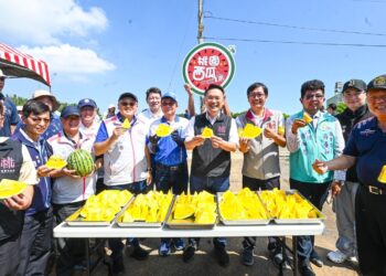 生態農業新典範!桃園環保紙膜擴大應用     蘇俊賓力讚「小燕鷗西瓜」友善環境