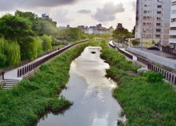 雲林縣勇奪2025 TWBA台灣生物多樣性獎　展現環境永續治理實力