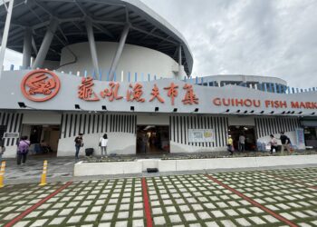 尚青海味在龜吼 新北漁業處推親子遊程 萬里漁夫市集吃喝玩樂全攻略