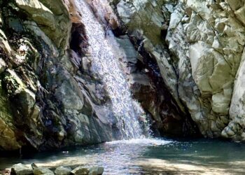 日月潭觀光圈盟主李吉田推薦：「夏日泡湯正當時」──探索東埔溫泉的健康與療癒