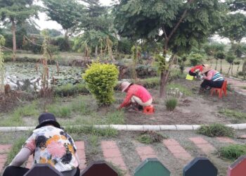 推動低碳永續家園彰化成績亮眼  與社區共築幸福新家園