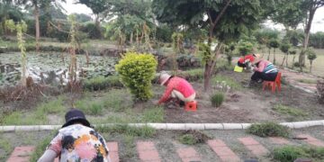 推動低碳永續家園彰化成績亮眼  與社區共築幸福新家園