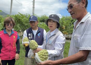 楊柳颱風重創臺東農業   縣府爭取中央「全品項現金救助」