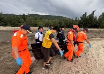 海口沙灘驚現擱淺海豚　海巡同仁即刻投入搶救