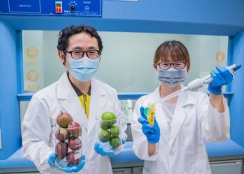 打造希望城市 屏縣府啟動農漁品自主送驗