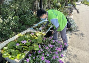 預防登革熱!不分你我他  AI衛教上線 一起學會「巡、倒、清、刷」