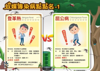 一鍵看懂|屈公病是什麼?此「症狀」與登革熱不同 恐痛到無法行動