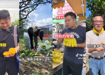 打破通路侷限     農民用TikTok短影音推銷盛產水果     開啟產銷新模式