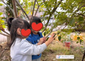 市府都市計畫評估失衡  路竹社福綠地恐變住宅區