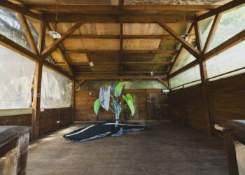 把握暑假最後一波!黃金博物館兩大展覽將結束     邀請民眾來金瓜石認識礦業文化