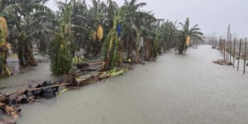 楊柳颱風逼近屏縣府籲農漁民提早因應並加強防範