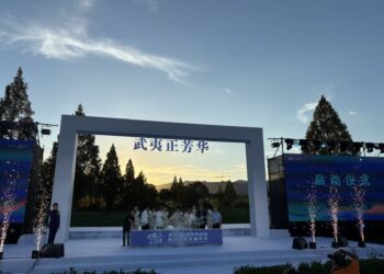 青春綻放茶鄉—「武夷正芳華」茶園文化季暨兩山青年嘉年華