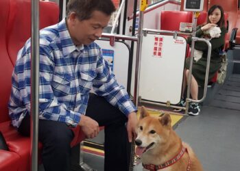 新北寵物友善交通再升級 藍15線公車9/5起加入 帶毛孩輕鬆出遊