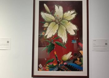 聽見語言的色彩　看見故事的能量：楊慕仁個展登場