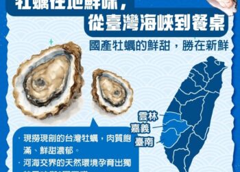 臺灣牡蠣產地西海岸孕育在地鮮味 養殖技術百年傳承科學升級創造永續價值