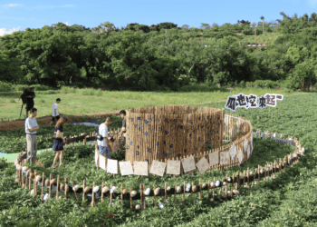 影音/藝術落地農村甘藷田     體驗農作樂趣與在地市集