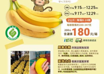 屏東郵局關懷在地農產　助力推廣「阿猴蕉屏友」頂級黃金香蕉