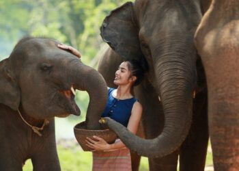 泰國觀光局攜手9大旅行社推出《虎哩普吉》全新品牌 引領沉浸式度假時代