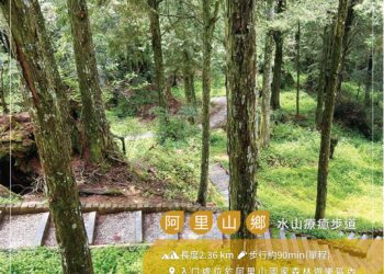 秋遊嘉義阿里山 4大親子步道一次走透透