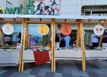 新北海派活動起跑     明起至11月底推漁市促銷、套裝行程     海派市集搶先開張