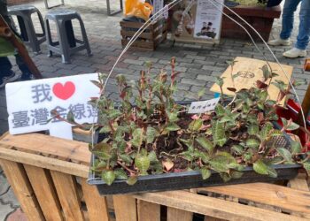 影音/林下良品攜手新東陽南投服務區 林下好滋味快閃登場