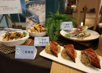 雲林鰻魚豐收 縣府攜手合作社推廣在地美味