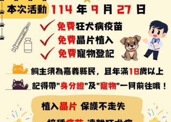 嘉有好市集9/27熱鬧登場 推出創意料理與身障友善專區