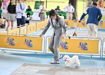 宜蘭寵物嘉年華     萌寵齊聚羅東文化工場