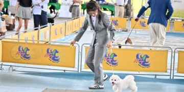 宜蘭寵物嘉年華 萌寵齊聚羅東文化工場