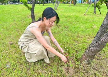 新北響應國際清潔空氣日     農業局推「百萬人種百萬樹」計畫     邀市民用行動護地球