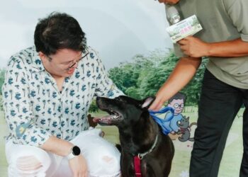 臺北市動物之家認養會日前在大湖公園舉辦    毛孩走出收容所療癒民眾心情