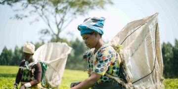 國際局勢、關稅議題震盪,社福單位成為下游受災戶 畢嘉士基金會中秋公益禮盒銷售不到預期兩成,公益資源陷困境