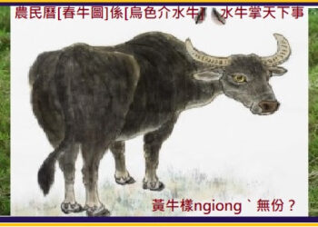 724客家(四縣)語文中高級認證補強試題教材(19)[全1,000題]：黄牛同水牛介故事　(課文一字一語對照錄音&補充解題)(閱讀測驗)