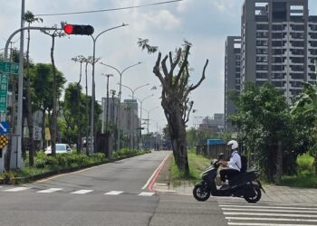 前陽明交大教授林健正痛心抨擊台南高鐵站區的「綠色廊道」被「斷頭」