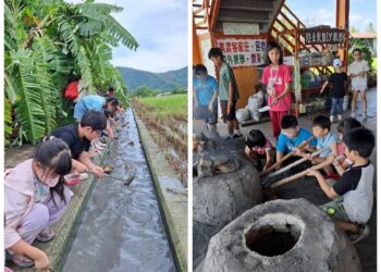 白玉蘿蔔盛產季登場 美濃客家庄推體驗專案玩出農村樂