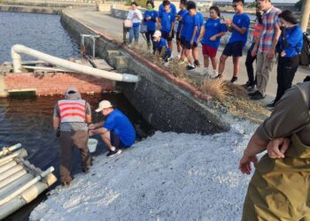 學子助成龍濕地特有魚種「成龍青鱂」搬新家 生態保育意識扎根校園