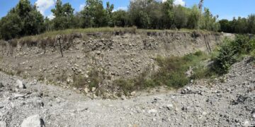 屏東分署114年度11月份123聯合拍賣　高樹鄉方整空地第一拍，歡迎來投標